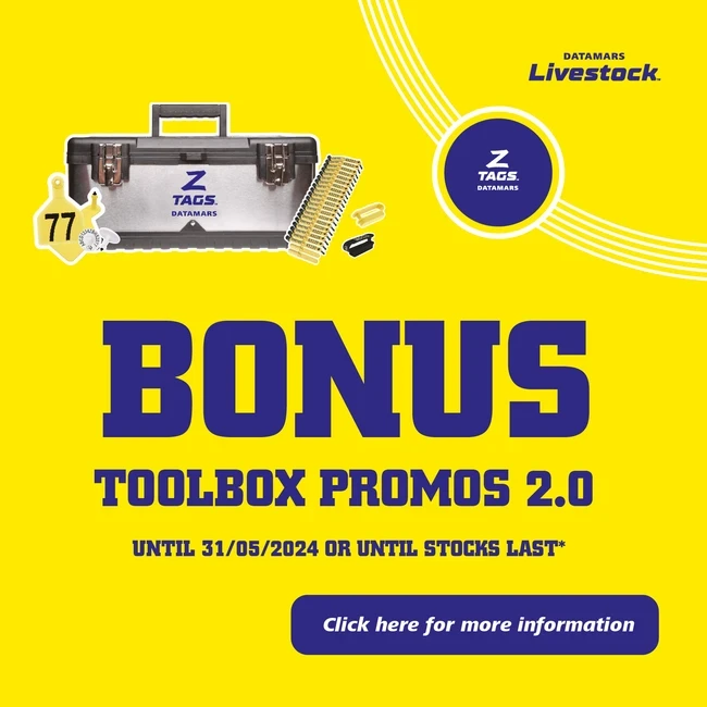 toolbox banner mobile